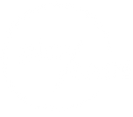 PlayMade logo